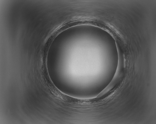 X0000084011261200702232155