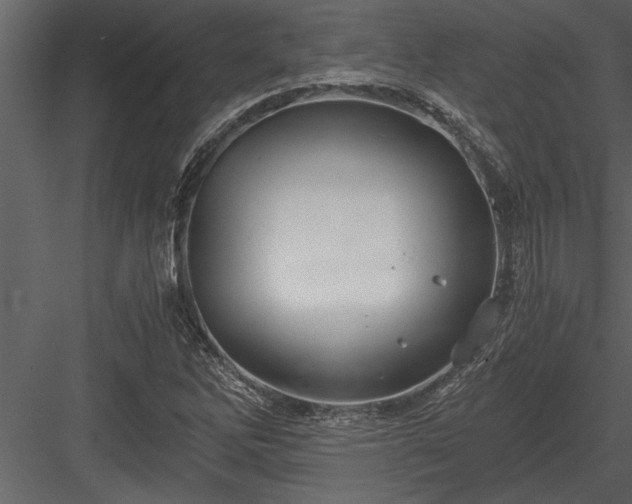 X0000084011262200702232155