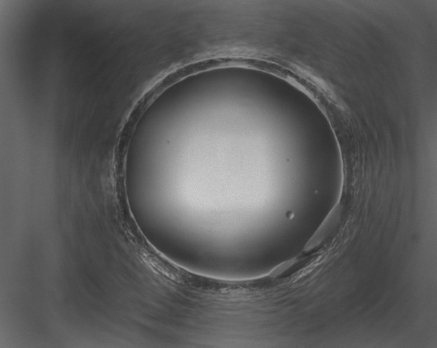 X0000084011264200702232155