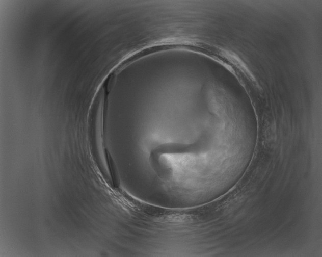 X0000084011268200702232155