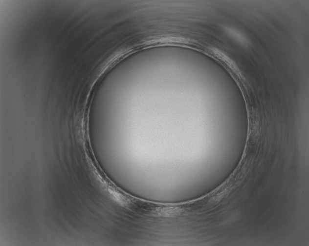X0000084011282200702232154