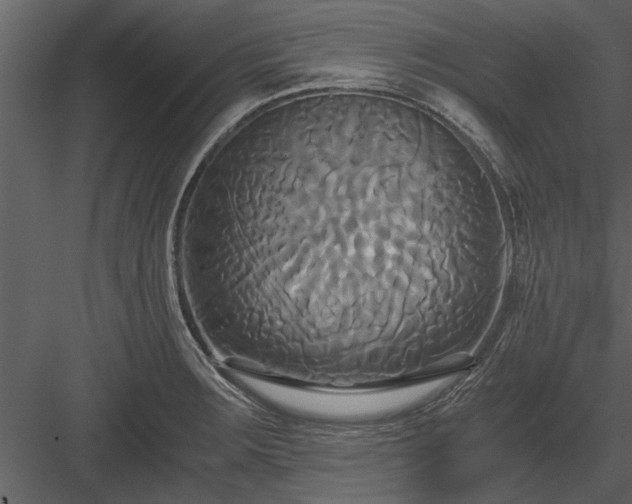 X0000084011283200702232154