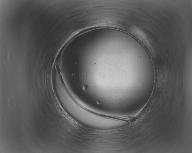 X0000084011284200702232154