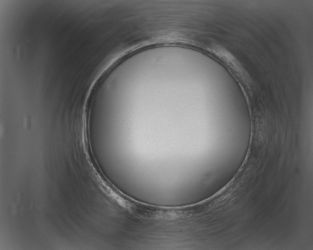 X0000084011286200702232154