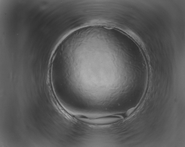 X0000084011296200702232154