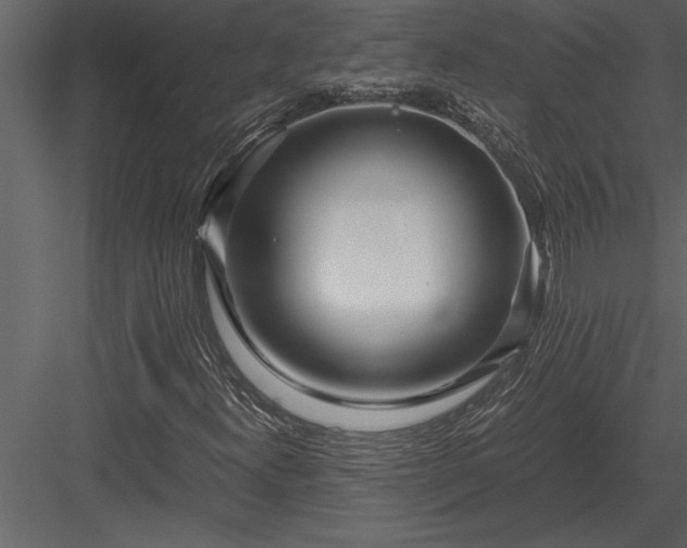 X0000084011300200702232153
