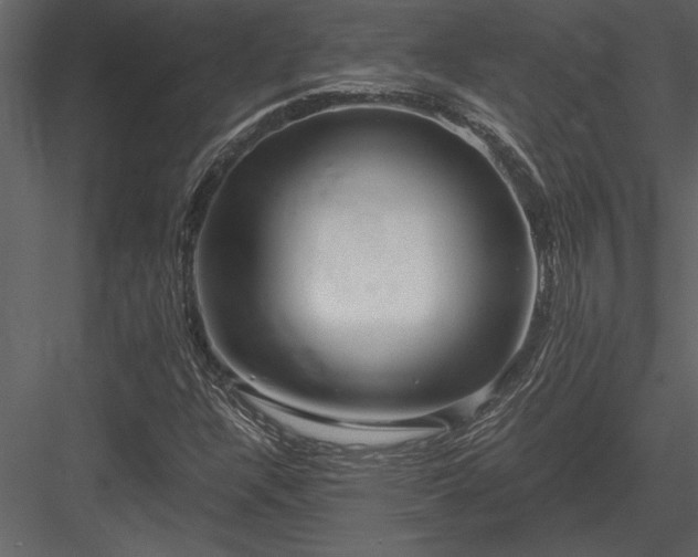 X0000084011304200702232153