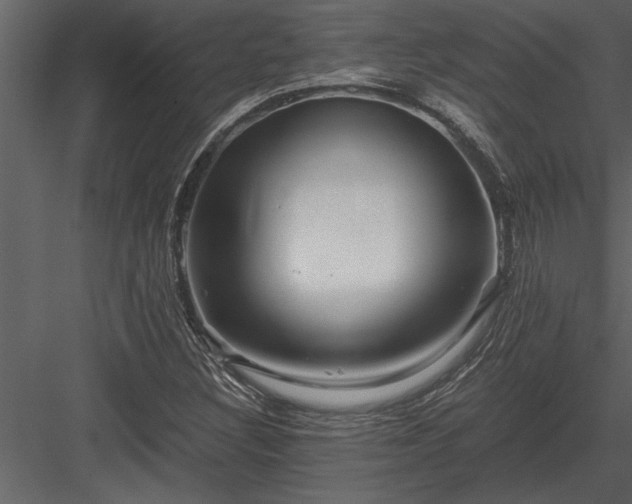 X0000084011308200702232153