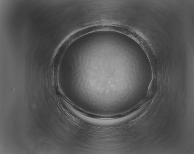 X0000084011310200702232153
