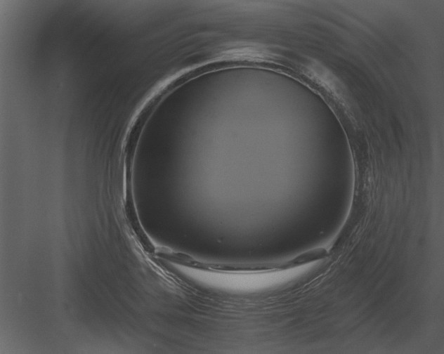 X0000084011323200702232154