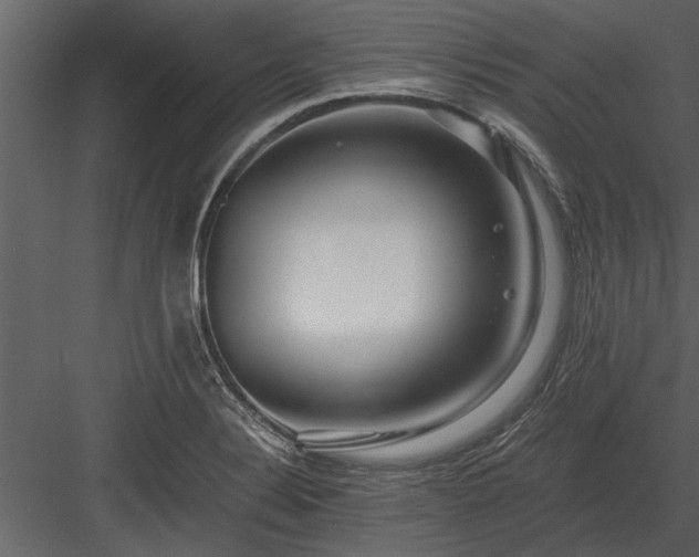X0000084011324200702232154