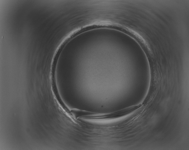 X0000084011327200702232154