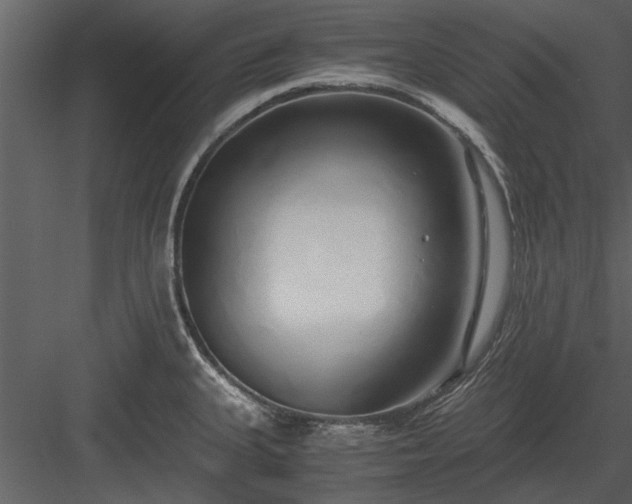X0000084011335200702232154
