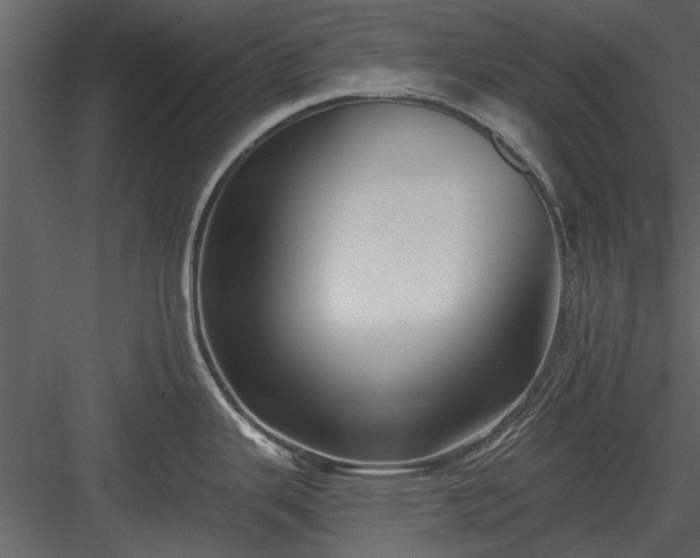 X0000084011343200702232154