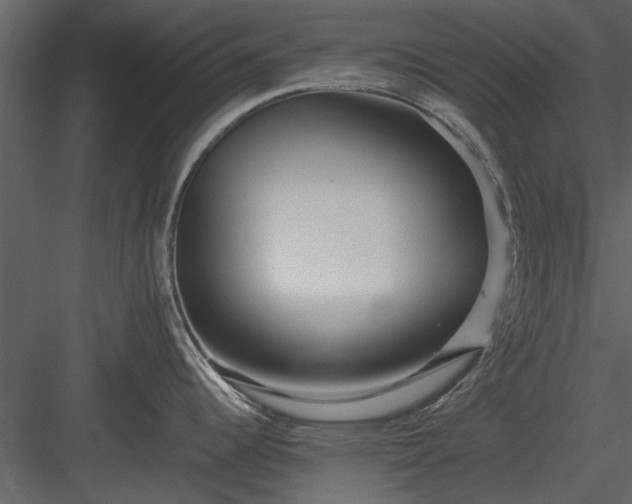 X0000084011344200702232154