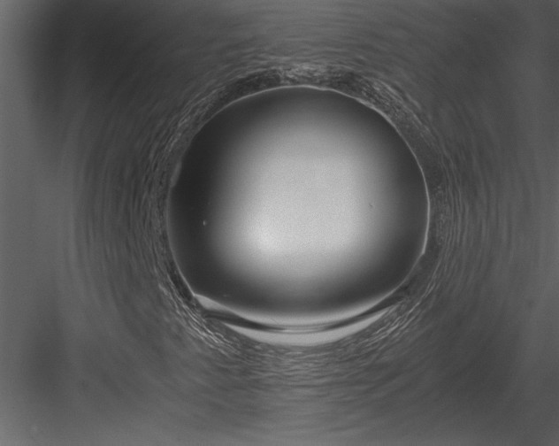 X0000084011345200702232153