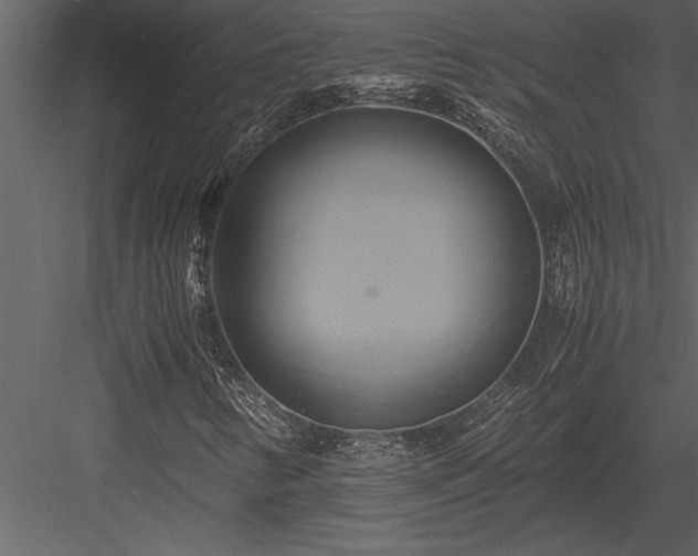 X0000084011346200702232153