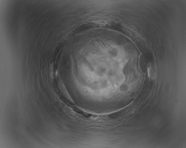 X0000084011347200702232153