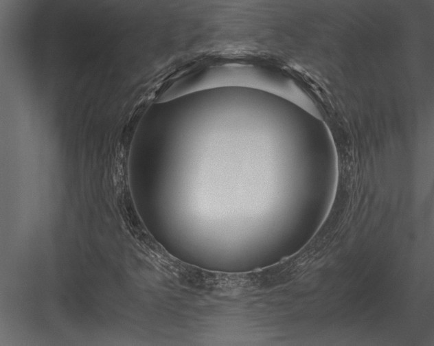 X0000084011349200702232153