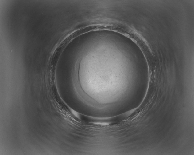 X0000084011352200702232153