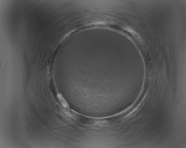 X0000084011353200702232153