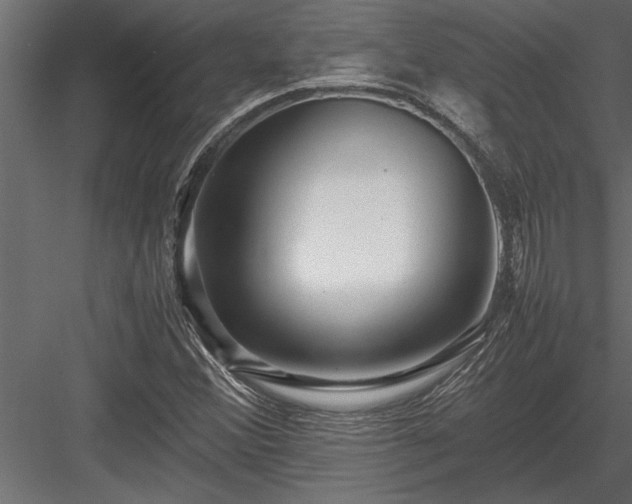 X0000084011356200702232153