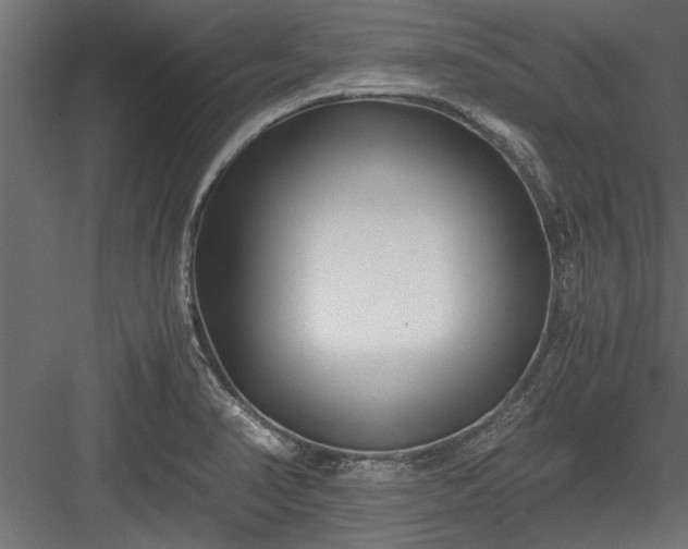 X0000084011374200702232153
