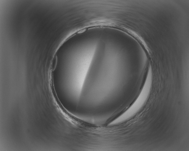 X0000084011383200702232153