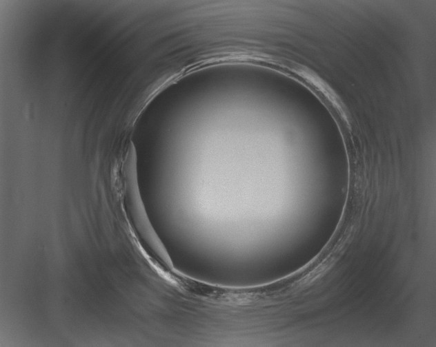 X0000084011385200702232152