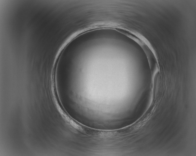 X0000084011389200702232152