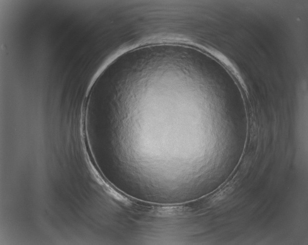 X0000084011390200702232152