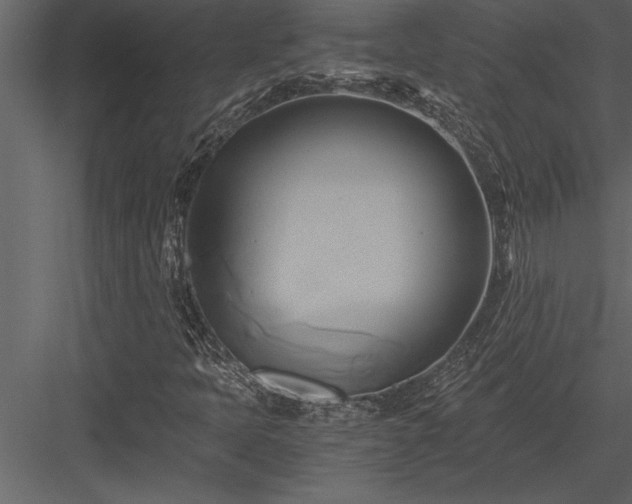 X0000084011397200702232152