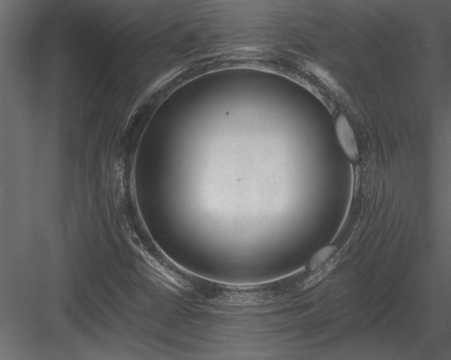 X0000084011402200702232152