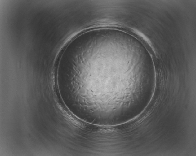 X0000084011415200702232152
