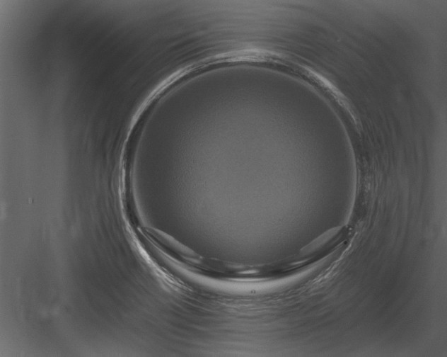 X0000084011418200702232152