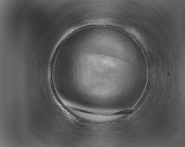 X0000084011424200702232152