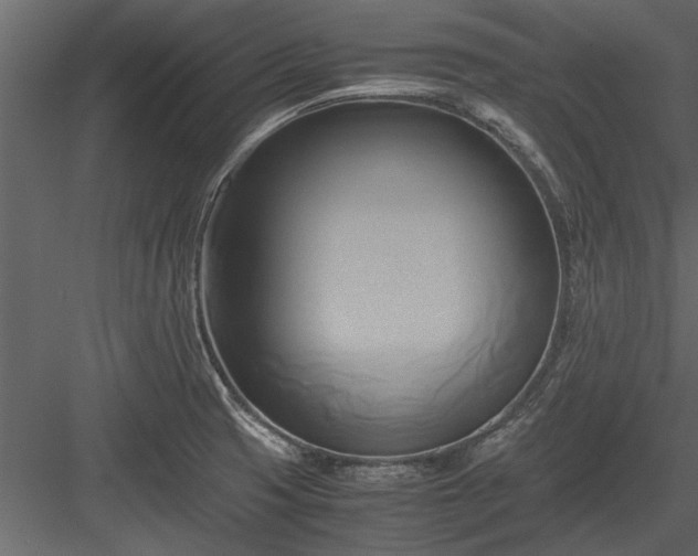 X0000084011425200702232152