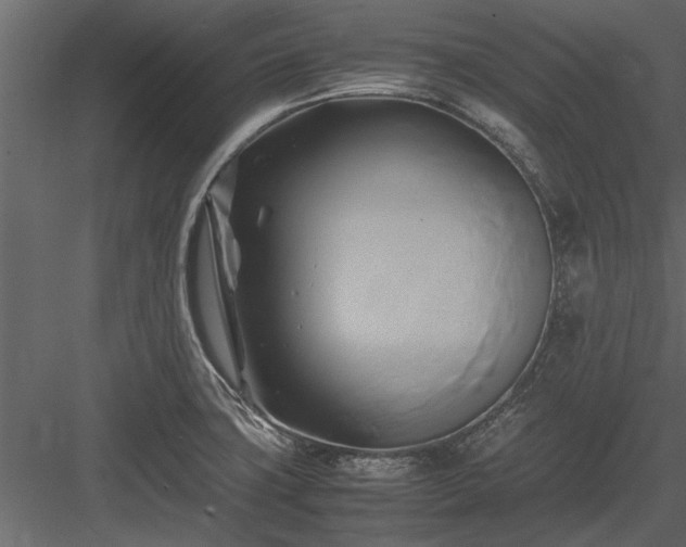 X0000084011427200702232152