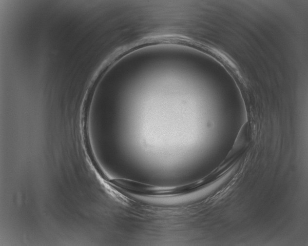 X0000084011430200702232152