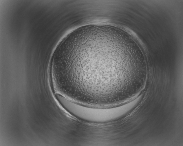 X0000084011432200702232152