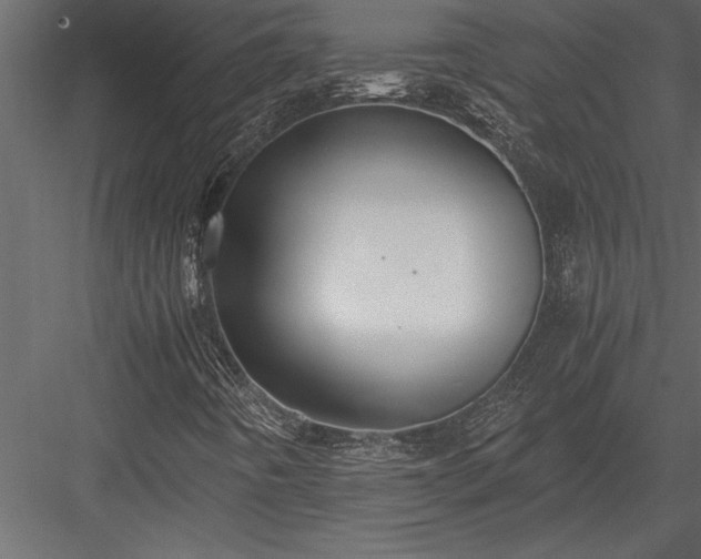 X0000084011442200702232152