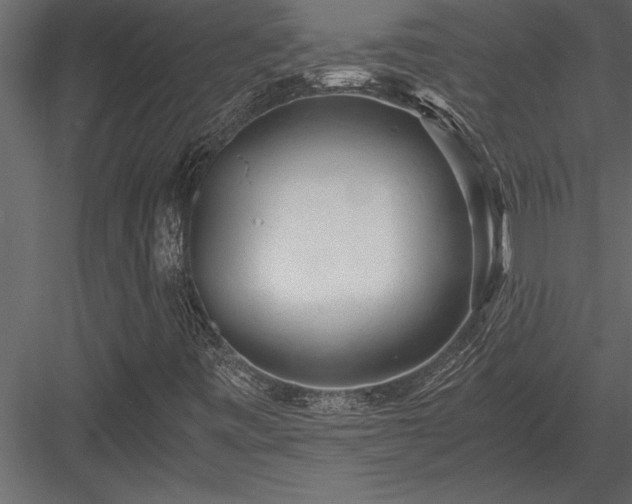 X0000084011443200702232151