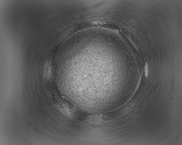 X0000084011444200702232151