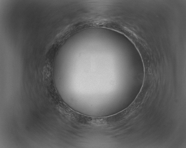 X0000084011447200702232151