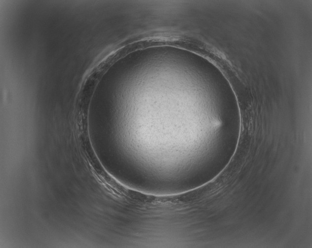 X0000084011448200702232151