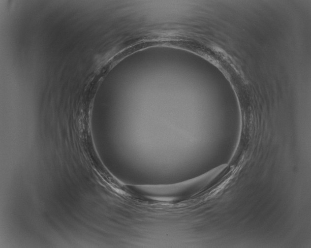 X0000084011449200702232151