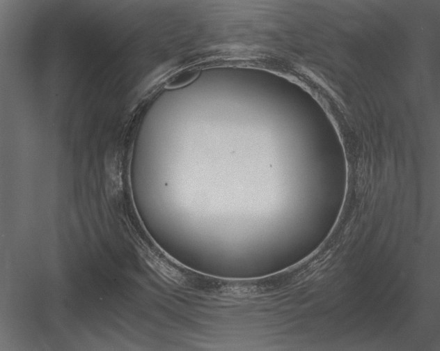 X0000084011451200702232151