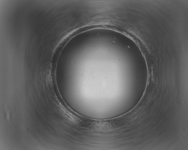 X0000084011452200702232151