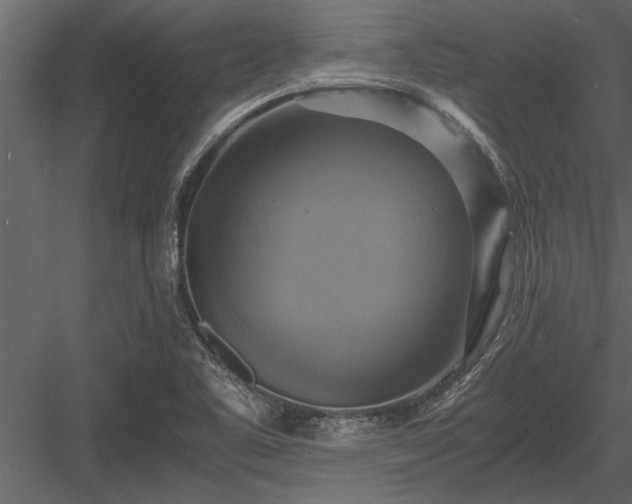 X0000084011461200702232151