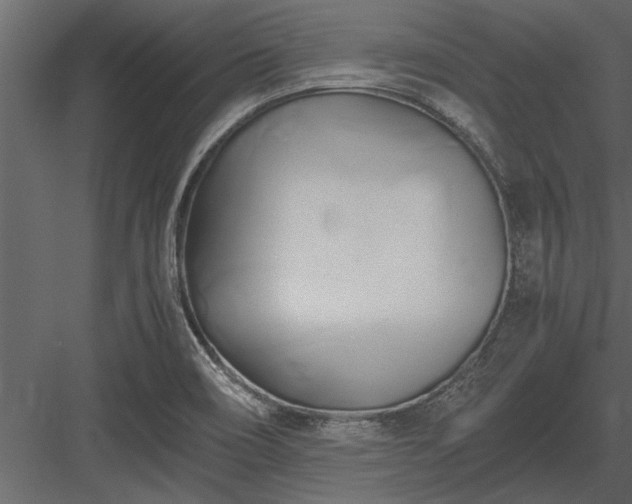 X0000084011466200702232151